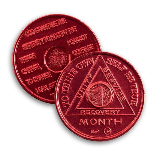 BSP Aluminum Months 1-11 AA Tokens - The Token Shop