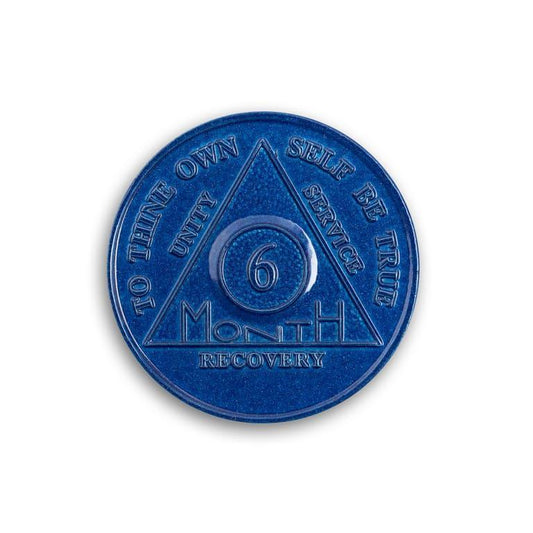 Wendells 6 Month AA Coins - The Token Shop