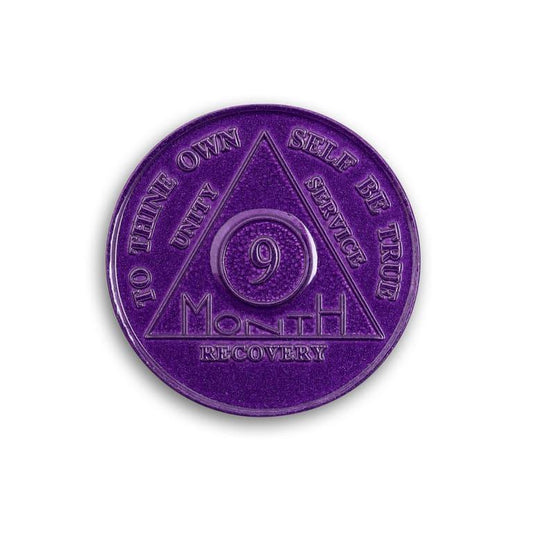 Wendells 9 Month AA Coins - The Token Shop