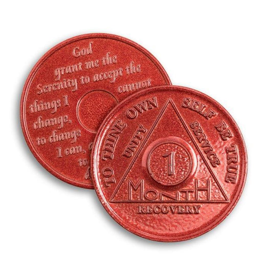 Wendells Months 1-11 AA Tokens - The Token Shop